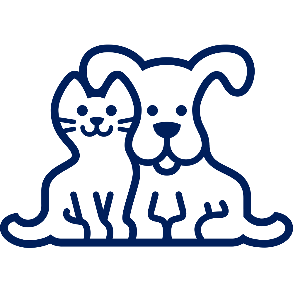 Ferret (Mustela putorius furo)