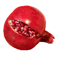 Pomegranate