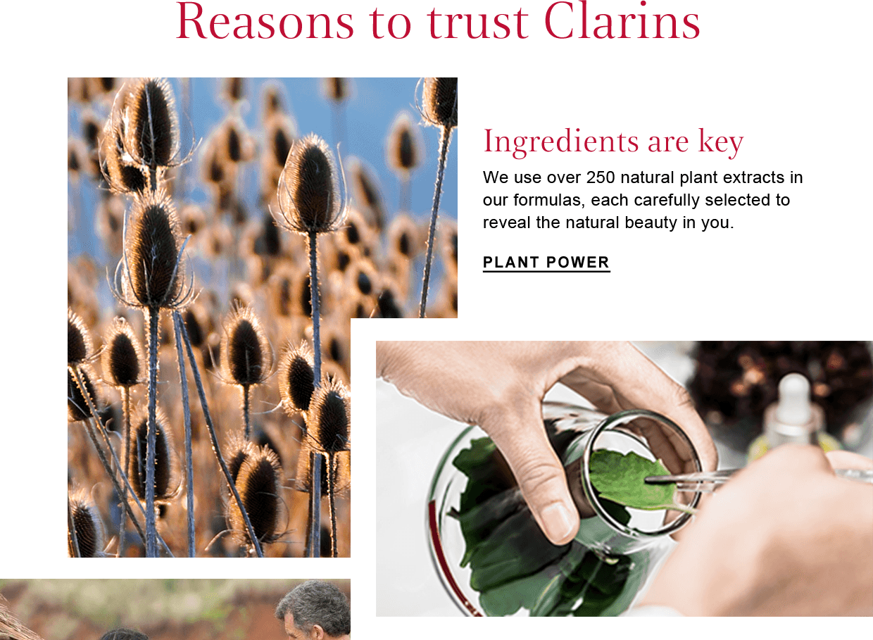 Ingredients are key
 We use over 250 natural plant extracts in our formulas, each carefully selected to reveal the natural beauty in you.
 Plant Power