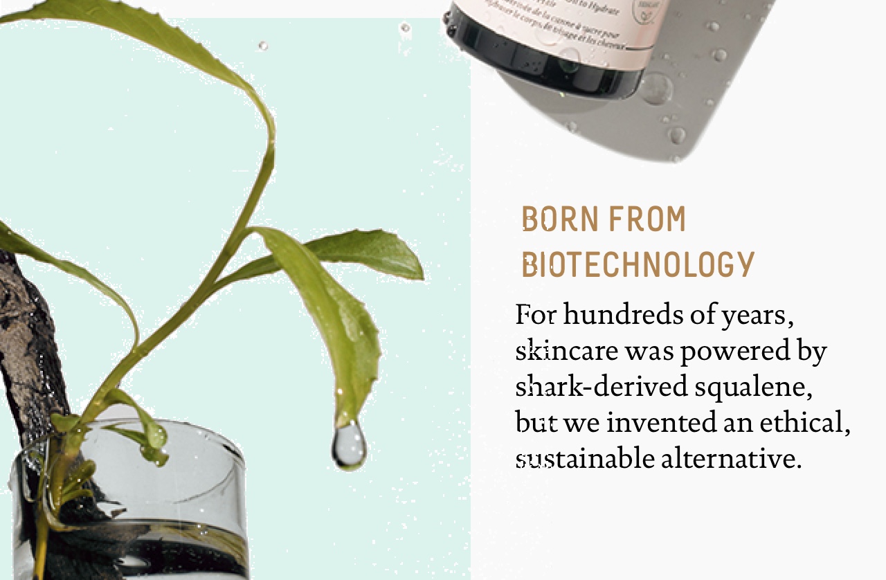 Born From Biotechnology
For hundreds of years, skincare was powered by shark-derived squalene, but we invented an ethical, sustainable alternative.