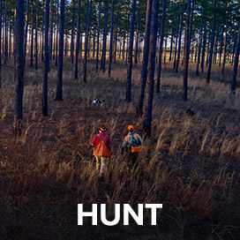 https://www.orvis.com/hunt