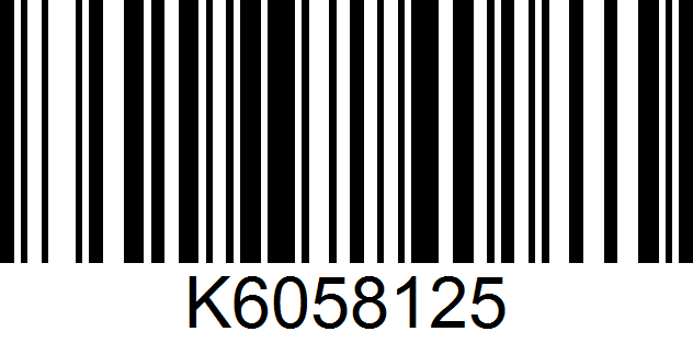 Big 5 Sporting Goods