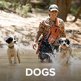 https://www.orvis.com/dog-products