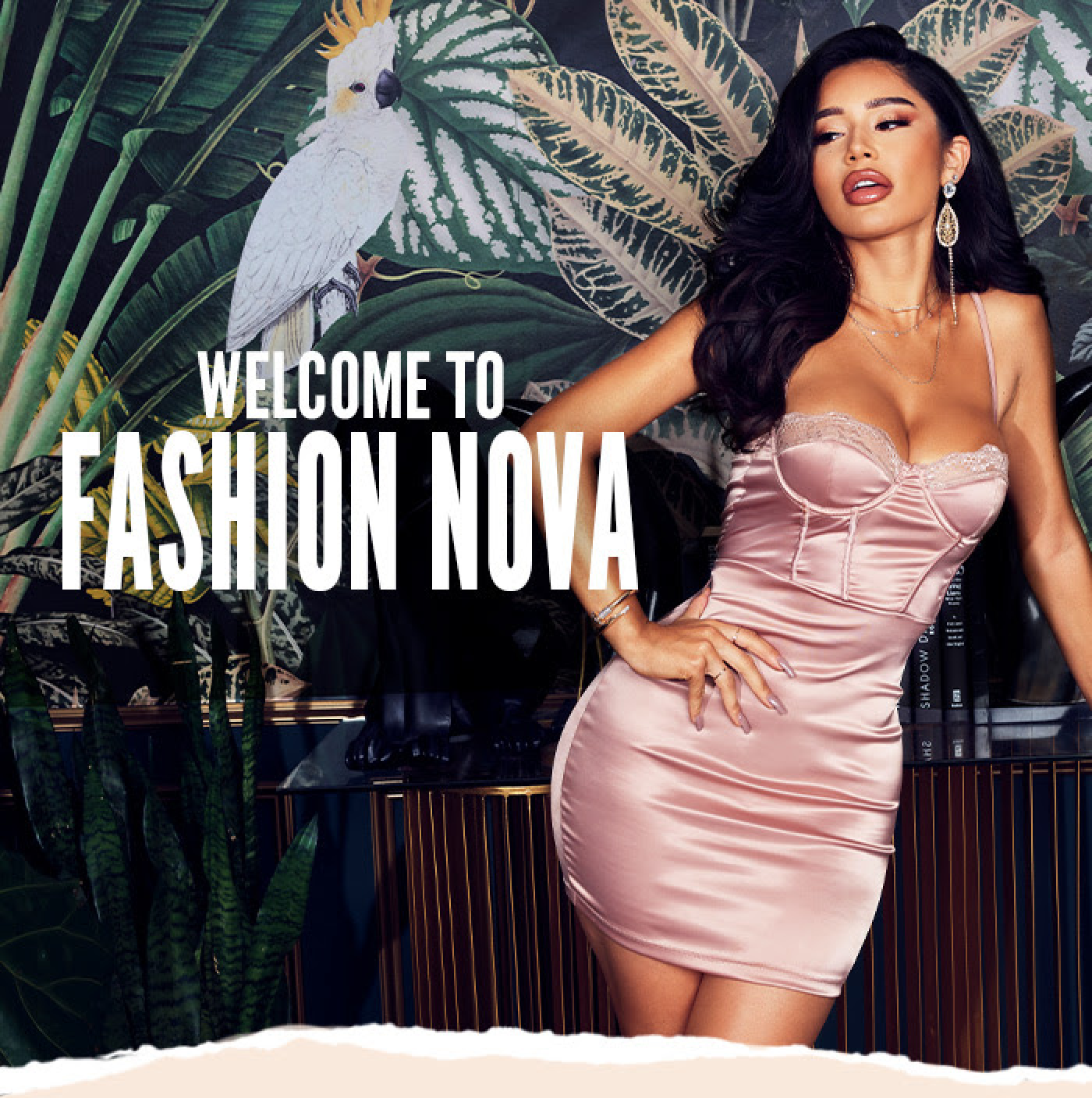 Welcome to Fashion Nova